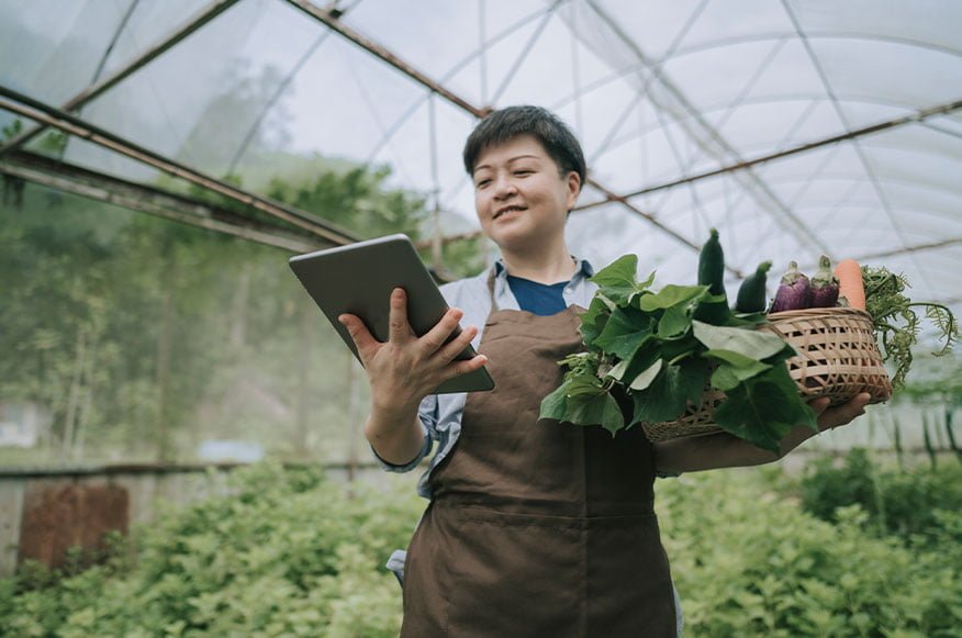 Person in greenhouse holding tablet and plant.